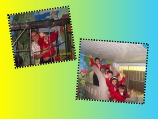 Portafolioportadoresdeluz