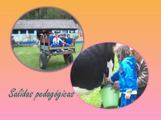 Portafolioportadoresdeluz