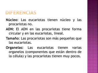 Núcleo: Las eucariotas tienen núcleo y las
procariotas no.
ADN: El ADN en las procariotas tiene forma
circular y en las eucariotas, lineal.
Tamaño: Las procariotas son más pequeñas que
las eucariotas.
Organelas: Las eucariotas tienen varias
organelos (componentes que están dentro de
la célula) y las procariotas tienen muy pocos.
 