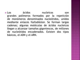  Los ácidos nucleicos son
grandes polímeros formados por la repetición
de monómeros denominados nucleótidos, unidos
mediante enlaces fosfodiéster. Se forman largas
cadenas; algunas moléculas de ácidos nucleicos
llegan a alcanzar tamaños gigantescos, de millones
de nucleótidos encadenados. Existen dos tipos
básicos, el ADN y el ARN.
 