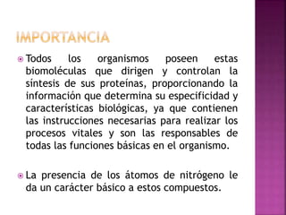  Todos los organismos poseen estas
biomoléculas que dirigen y controlan la
síntesis de sus proteínas, proporcionando la
información que determina su especificidad y
características biológicas, ya que contienen
las instrucciones necesarias para realizar los
procesos vitales y son las responsables de
todas las funciones básicas en el organismo.
 La presencia de los átomos de nitrógeno le
da un carácter básico a estos compuestos.
 