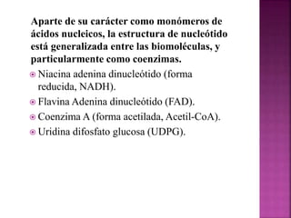 Aparte de su carácter como monómeros de
ácidos nucleicos, la estructura de nucleótido
está generalizada entre las biomoléculas, y
particularmente como coenzimas.
 Niacina adenina dinucleótido (forma
reducida, NADH).
 Flavina Adenina dinucleótido (FAD).
 Coenzima A (forma acetilada, Acetil-CoA).
 Uridina difosfato glucosa (UDPG).
 