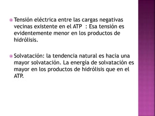  Tensión eléctrica entre las cargas negativas
vecinas existente en el ATP : Esa tensión es
evidentemente menor en los productos de
hidrólisis.
 Solvatación: la tendencia natural es hacia una
mayor solvatación. La energía de solvatación es
mayor en los productos de hidrólisis que en el
ATP.
 