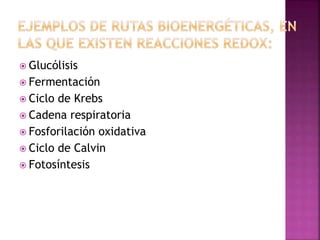  Glucólisis
 Fermentación
 Ciclo de Krebs
 Cadena respiratoria
 Fosforilación oxidativa
 Ciclo de Calvin
 Fotosíntesis
 