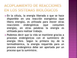  En la célula, la energía liberada o que se hace
disponible en una reacción exergónica (que
libera energía), es utilizada para mover otras
reacciones endergónicas (que consumen
energía), en otras palabras la energía es
utilizada para realizar trabajo.
 Podemos decir que la vida se mantiene gracias a
procesos endergónicos con el suministro de
energía libre. Según la primera ley de la
termodinámica, la energía requerida para un
proceso endergónico debe ser aportada por un
proceso que la suministre.
 