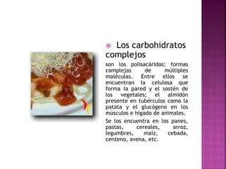  Los carbohidratos
complejos
son los polisacáridos; formas
complejas de múltiples
moléculas. Entre ellos se
encuentran la celulosa que
forma la pared y el sostén de
los vegetales; el almidón
presente en tubérculos como la
patata y el glucógeno en los
músculos e hígado de animales.
Se los encuentra en los panes,
pastas, cereales, arroz,
legumbres, maíz, cebada,
centeno, avena, etc.
 