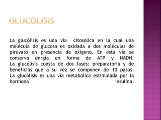 La glucólisis es una vía citosolica en la cual una
molécula de glucosa es oxidada a dos moléculas de
piruvato en presencia de oxígeno. En esta vía se
conserva enrgía en forma de ATP y NADH.
La glucólisis consta de dos fases: preparatoria y de
beneficios que a su vez se componen de 10 pasos.
La glucólisis es una vía metabolica estimulada por la
hormona insulina.
 