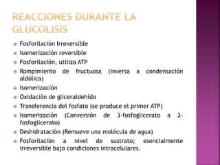  Fosforilación Irreversible
 Isomerización reversible
 Fosforilación, utiliza ATP
 Rompimiento de fructuosa (inversa a condensación
aldólica)
 Isomerización
 Oxidación de gliceraldehído
 Transferencia del fosfato (se produce el primer ATP)
 Isomerización (Conversión de 3-fosfoglicerato a 2-
fosfoglicerato)
 Deshidratación (Remueve una molécula de agua)
 Fosforilación a nivel de sustrato; esencialmente
irreversible bajo condiciones intracelulares.
 