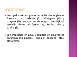  Los lípidos son un grupo de moléculas orgánicas
formadas por carbono (C), hidrógeno (H) y
oxígeno (O), aunque los de mayor complejidad
también llevan nitrógeno (N), fósforo (P) y
azufre (S).
 Son insolubles en agua y solubles en disolventes
orgánicos (no polares), como el benceno, éter,
cloroformo.
 