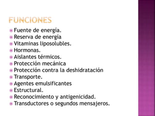  Fuente de energía.
 Reserva de energía
 Vitaminas liposolubles.
 Hormonas.
 Aislantes térmicos.
 Protección mecánica
 Protección contra la deshidratación
 Transporte.
 Agentes emulsificantes
 Estructural.
 Reconocimiento y antigenicidad.
 Transductores o segundos mensajeros.
 