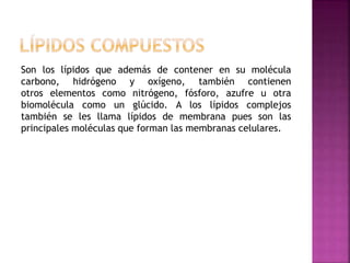 Son los lípidos que además de contener en su molécula
carbono, hidrógeno y oxígeno, también contienen
otros elementos como nitrógeno, fósforo, azufre u otra
biomolécula como un glúcido. A los lípidos complejos
también se les llama lípidos de membrana pues son las
principales moléculas que forman las membranas celulares.
 