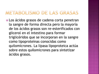  Los ácidos grasos de cadena corta penetran
la sangre de forma directa pero la mayoría
de los ácidos grasos son re-esterificados con
glicerol en el intestino para formar
triglicéridos que se incorporan en la sangre
como lipoproteínas conocidas como
quilomicrones. La lipasa lipoproteica actúa
sobre estos quilomicrones para sintetizar
àcidos grasos.
 