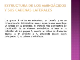 Los grupos R varían en estructura, en tamaño y en su
tendencia a las interacciones con el agua, lo cual constituye
un reflejo de su polaridad. El método más significativo de
clasificación de los diversos aminoácidos se basa en la
polaridad de sus grupos R, cuando se hallan en disolución
acuosa, a pH próximo a 7. Existiendo cuatro clases
principales: 1) no polares o hidrófobos.
 