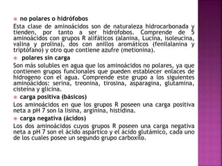  no polares o hidrófobos
Esta clase de aminoácidos son de naturaleza hidrocarbonada y
tienden, por tanto a ser hidrófobos. Comprende de 5
aminoácidos con grupos R alifáticos (alanina, Lucina, isoleucina,
valina y prolina), dos con anillos aromáticos (fenilalanina y
triptófano) y otro que contiene azufre (metionina).
 polares sin carga
Son más solubles en agua que los aminoácidos no polares, ya que
contienen grupos funcionales que pueden establecer enlaces de
hidrogeno con el agua. Comprende este grupo a los siguientes
aminoácidos: serina, treonina, tirosina, asparagina, glutamina,
cisteína y glicina.
 carga positiva (básicos)
Los aminoácidos en que los grupos R poseen una carga positiva
neta a pH 7 son la lisina, arginina, histidina.
 carga negativa (ácidos)
Los dos aminoácidos cuyos grupos R poseen una carga negativa
neta a pH 7 son el ácido aspártico y el ácido glutámico, cada uno
de los cuales posee un segundo grupo carboxilo.
 