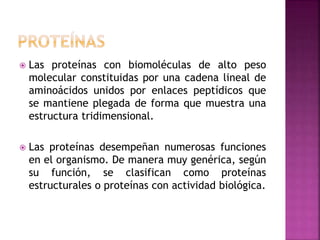  Las proteínas con biomoléculas de alto peso
molecular constituidas por una cadena lineal de
aminoácidos unidos por enlaces peptídicos que
se mantiene plegada de forma que muestra una
estructura tridimensional.
 Las proteínas desempeñan numerosas funciones
en el organismo. De manera muy genérica, según
su función, se clasifican como proteínas
estructurales o proteínas con actividad biológica.
 