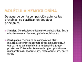 De acuerdo con la composición química las
proteínas, se clasifican en dos tipos
principales:
 Simples. Constituidos únicamente aminoácidos. Entre
ellas tenemos albúminas, globulinas, histonas.
 Conjugadas. Tienen en su composición otras
moléculas diferentes además de los aminoácidos. A
esa parte no aminoacídica se le denomina grupo
prostético. Entre ellas tenemos las glucoproteínas o
mucoproteínas, lipoproteínas, metaloproteínas, entre
otros.
 