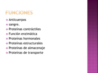  Anticuerpos
 sangre.
 Proteínas contráctiles
 Función enzimática
 Proteínas hormonales
 Proteínas estructurales
 Proteínas de almacenaje
 Proteínas de transporte
 