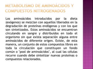 Los aminoácidos introducidos por la dieta
(exógenos) se mezclan con aquellos liberados en la
degradación de proteínas endógenas y con los que
son sintetizados. Estos aminoácidos se encuentran
circulando en sangre y distribuidos en todo el
organismo sin que exista separación alguna entre
aminoácidos de diferente origen. Existe, de esta
manera, un conjunto de estos compuestos libres en
toda la circulación que constituyen un fondo
común o "pool de aminoácidos", al cual las células
recurre cuando debe sintetizar nuevas proteínas o
compuestos relacionados.
 