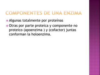  Algunas totalmente por proteínas
 Otras por parte proteica y componente no
proteico (apoenzima ) y (cofactor) juntas
conforman la holoenzima.
 