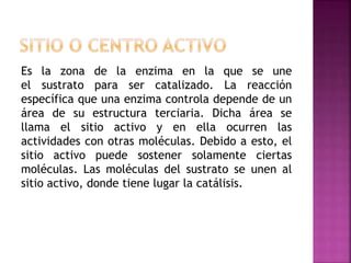 Es la zona de la enzima en la que se une
el sustrato para ser catalizado. La reacción
específica que una enzima controla depende de un
área de su estructura terciaria. Dicha área se
llama el sitio activo y en ella ocurren las
actividades con otras moléculas. Debido a esto, el
sitio activo puede sostener solamente ciertas
moléculas. Las moléculas del sustrato se unen al
sitio activo, donde tiene lugar la catálisis.
 