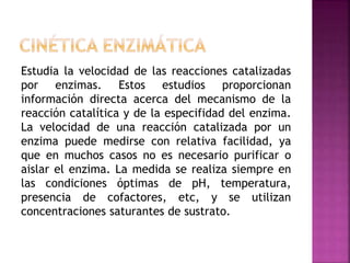 Estudia la velocidad de las reacciones catalizadas
por enzimas. Estos estudios proporcionan
información directa acerca del mecanismo de la
reacción catalítica y de la especifidad del enzima.
La velocidad de una reacción catalizada por un
enzima puede medirse con relativa facilidad, ya
que en muchos casos no es necesario purificar o
aislar el enzima. La medida se realiza siempre en
las condiciones óptimas de pH, temperatura,
presencia de cofactores, etc, y se utilizan
concentraciones saturantes de sustrato.
 