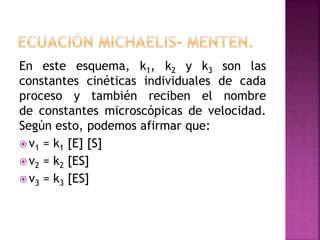 En este esquema, k1, k2 y k3 son las
constantes cinéticas individuales de cada
proceso y también reciben el nombre
de constantes microscópicas de velocidad.
Según esto, podemos afirmar que:
 v1 = k1 [E] [S]
 v2 = k2 [ES]
 v3 = k3 [ES]
 