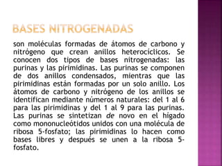 son moléculas formadas de átomos de carbono y
nitrógeno que crean anillos heterocíclicos. Se
conocen dos tipos de bases nitrogenadas: las
purinas y las pirimidinas. Las purinas se componen
de dos anillos condensados, mientras que las
pirimidinas están formadas por un solo anillo. Los
átomos de carbono y nitrógeno de los anillos se
identifican mediante números naturales: del 1 al 6
para las pirimidinas y del 1 al 9 para las purinas.
Las purinas se sintetizan de novo en el hígado
como mononucleótidos unidos con una molécula de
ribosa 5-fosfato; las pirimidinas lo hacen como
bases libres y después se unen a la ribosa 5-
fosfato.
 