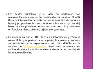  Los ácidos nucleicos, y el ADN en particular, son
macromoléculas clave en la continuidad de la vida. El ADN
lleva la información hereditaria que se trasmite de padres a
hijos y proporciona las instrucciones sobre cómo (y cuándo)
hacer muchas proteínas necesarias para construir y mantener
en funcionamiento células, tejidos y organismos.
 La manera en que el ADN lleva esta información y cómo la
usan células y organismos es compleja, fascinante y bastante
sorprendente, y la exploraremos con más detalle en la
sección de biología molecular. Aquí, solo echaremos un
rápido vistazo a los ácidos nucleicos desde la perspectiva de
las macromoléculas.
 