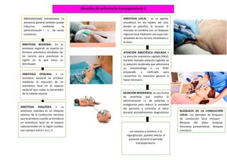 portafolio quirurgica.pdf