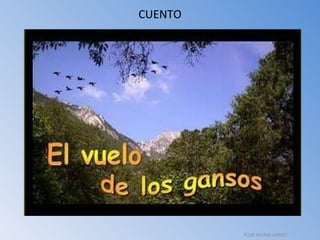 CUENTO FLOR MARIA ABREU 