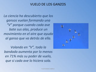 VUELO DE LOS GANZOS FLOR MARIA ABREU La ciencia ha descubierto que los gansos vuelan formando una “V” porque cuando cada ave bate sus alas, produce un movimiento en el aire que ayuda al ganso que va detrás de ella. Volando en “V”, toda la bandada aumenta por lo menos en 71% más su poder de vuelo, que si cada ave lo hiciera sola. 
