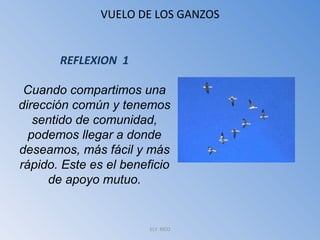 VUELO DE LOS GANZOS ELY  RICO REFLEXION  1 Cuando compartimos una dirección común y tenemos sentido de comunidad, podemos llegar a donde deseamos, más fácil y más rápido. Este es el beneficio de apoyo mutuo. 