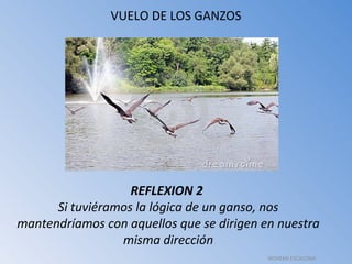VUELO DE LOS GANZOS REFLEXION 2  Si tuviéramos la lógica de un ganso, nos mantendríamos con aquellos que se dirigen en nuestra misma dirección NOHEMI ESCALONA 