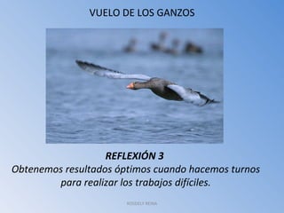 VUELO DE LOS GANZOS REFLEXIÓN 3  Obtenemos resultados óptimos cuando hacemos turnos para realizar los trabajos difíciles. ROSDELY REINA 