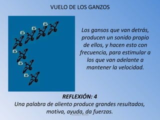 VUELO DE LOS GANZOS Los gansos que van detrás, producen un sonido propio de ellos, y hacen esto con frecuencia, para estimular a los que van adelante a mantener la velocidad. REFLEXIÓN: 4 Una palabra de aliento produce grandes resultados, motiva, ayuda, da fuerzas. ROSDELY REINA 