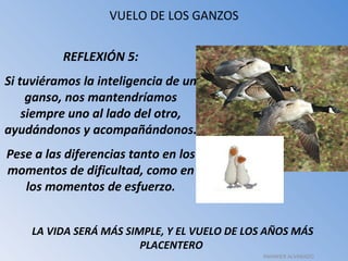 VUELO DE LOS GANZOS REFLEXIÓN 5: Si tuviéramos la inteligencia de un ganso, nos mantendríamos siempre uno al lado del otro, ayudándonos y acompañándonos.  Pese a las diferencias tanto en los momentos de dificultad, como en los momentos de esfuerzo. LA VIDA SERÁ MÁS SIMPLE, Y EL VUELO DE LOS AÑOS MÁS PLACENTERO  RAHINIER ALVARADO 