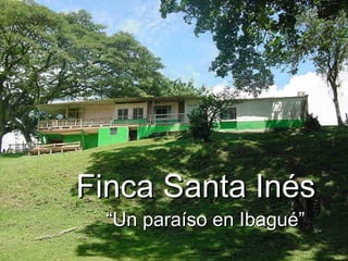 [object Object],Finca Santa Inés “ Un paraíso en Ibagué” 