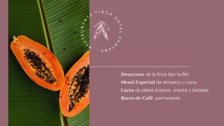Desayuno de la finca tipo buffet
Menú Especial de almuerzo y cena
Carta de platos livianos, snacks y bebidas
Barra de Café permanente
R
E
STAURAN
T
E
F I N C A
H
O
TELSA
N
TANA·
 