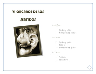 VI ÓRGANOS DE LOS

    SENTIDOS
                       Olfato

                           Cerebro y olfato
                           Trastornos del olfato

                       Gusto

                           Cerebro y gusto
                           Sabores
                           Trastornos del gusto

                       Tacto

                           Función
                           Estructura




                                                    26
 
