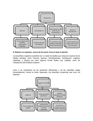 Ornitorrinco

¿Qué es?

¿De dónde es?

Qué numero es del
orden de los
monotremas?

¿Cómo se
reproducen?

Es una especie de
mamífero
semiacuático
endémico

Proviene del Este
de Australia

Es una de las cinco
especies del orden
de los monotremas

Ponen huevos en
lugar de dar a luz a
sus crías vivas

6. Elaborar un esquema acerca de los seres vivos en base al párrafo
Los lacertilios o lagartos (Lacertilia) son un clado de reptiles que incluye la mayoría de los
reptiles actuales, como Varanos, Iguanas, Corytophanidae, Camaleones, Lagartos,
Lagartijas, y Geckos así como algunas formas fósiles muy notables, como los
mosasaurios del Cretácico Superior.

Junto a los subórdenes de las serpientes (Serpentes) y de las culebrillas ciegas
(Amphisbaenia), forman el orden Squamata. Los lacertilios comprende casi cinco mil
especies

Lagarto o lacertilla

¿Qué es?

A qué suborden
pertenece?

¿Existen
ejemplares fósiles
similares?

Son un clado de
reptiles

Junto con las
serpientes forman
el orden
Squamata

Si, cómo los
mosasaurios del
Cretácico Superior

 
