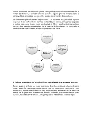 Son un superorden de condrictios (peces cartilaginosos) conocidos comúnmente con el
nombre de tiburones, o también llamados escualos. Algunos grandes tiburones como el
blanco y el toro, entre otros, son conocidos a veces con el nombre de jaquetones.
Se caracterizan por ser grandes depredadores. Los tiburones incluyen desde especies
pequeñas de las profundidades marinas, hasta el tiburón ballena, el mayor de los peces,
el cual se cree puede llegar a medir una longitud de 18 m y se alimenta únicamente de
plancton. Las especies responsables de la mayoría de los ataques no provocados a
humanos son el tiburón blanco, el tiburón tigre y el tiburón sarda.

Superorden de
condrictios

Algunas especies
peligrosas son:
tiburón
blanco, tigre y el
sarda

Se alimenta de
plancton

Tiburón

El mayor
espécimen
puede medir 18
m en longitud

Son grandes
depredadores la
mayoría

3. Elaborar un esquema de organización en base a las características de una rana
Son un grupo de anfibios, con rango taxonómico de orden, conocidos vulgarmente como
ranas y sapos. Se caracterizan por carecer de cola, por presentar un cuerpo corto y muy
ensanchado, y unas patas posteriores muy desarrolladas y adaptadas para el salto. Los
anuros son el grupo más numeroso de anfibios; se estima que existen más de 5.000
especies, repartidas en 48 familias.La mayoría pasa su vida dentro o cerca del agua.

 