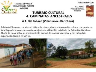 4. CAMINATAS ANCESTRALES
4.1. Del Tabaco (Villanueva - Barichara)
Salida de Villanueva con vista a cultivos de tabaco, charla e intercambio cultural con productor
local llegando a través de una vista majestuosa al Pueblito más lindo de Colombia: Barichara.
Charla de cierre sobre su procesamiento manual de manera sostenible y con calidad de
exportación (puros) en San Gil.
TURISMO CULTURAL
EN ALIANZA CON
DE LA TIERRA
TURISMO CULTURAL
RNT 28866
AGENCIA DE VIAJES Y
PROMOTORA DE TURISMO
RNT 27716
 
