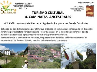 4. CAMINATAS ANCESTRALES
Saliendo de San Gil subiremos por el Parque el Jovito en camino real conservado en dirección
Pinchote por carretera veredal hasta la Finca “La Vega”, en la Vereda Llanogrande, donde
haremos un recorrido aproximado de dos horas por cultivos de café.
Terminaremos la caminata en Pinchote, degustando un delicioso café y conoceremos el
monumento de Antonia Santos, heroína del movimiento comunero
4.2. Café con aroma de libertad – Siguiendo los pasos del Conde Cuchicute
TURISMO CULTURAL
EN ALIANZA CON
DE LA TIERRA
TURISMO CULTURAL
RNT 28866
AGENCIA DE VIAJES Y
PROMOTORA DE TURISMO
RNT 27716
 