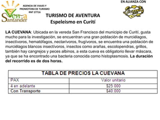 AGENCIA DE VIAJES Y
PROMOTORA DE TURISMO
RNT 27716
EN ALIANZA CON
LA CUEVANA: Ubicada en la vereda San Francisco del municipio de Curití, gusta
mucho para la investigación, se encuentran una gran población de murciélagos,
insectívoros, hematófagos, nectarívoros, frugívoros, se encuentra una población de
murciélagos blancos insectívoros, insectos como arañas, escolopendras, grillos,
también hay cangrejos y peces albinos, a esta cueva es obligatorio llevar máscara,
ya que se ha encontrado una bacteria conocida como histoplasmosis. La duración
del recorrido es de dos horas.
TURISMO DE AVENTURA
Espeleismo en Curití
 