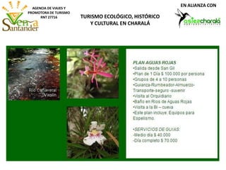AGENCIA DE VIAJES Y
PROMOTORA DE TURISMO
RNT 27716 TURISMO ECOLÓGICO, HISTÓRICO
Y CULTURAL EN CHARALÁ
EN ALIANZA CON
 