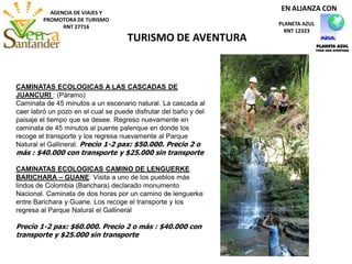 AGENCIA DE VIAJES Y
PROMOTORA DE TURISMO
RNT 27716
TURISMO DE AVENTURA
PLANETA AZUL
RNT 12323
EN ALIANZA CON
CAMINATAS ECOLOGICAS A LAS CASCADAS DE
JUANCURI : (Páramo)
Caminata de 45 minutos a un escenario natural. La cascada al
caer labró un pozo en el cual se puede disfrutar del baño y del
paisaje el tiempo que se desee. Regreso nuevamente en
caminata de 45 minutos al puente palenque en donde los
recoge el transporte y los regresa nuevamente al Parque
Natural el Gallineral. Precio 1-2 pax: $50.000. Precio 2 o
más : $40.000 con transporte y $25.000 sin transporte
CAMINATAS ECOLOGICAS CAMINO DE LENGUERKE
BARICHARA – GUANE: Visita a uno de los pueblos más
lindos de Colombia (Barichara) declarado monumento
Nacional. Caminata de dos horas por un camino de lenguerke
entre Barichara y Guane. Los recoge el transporte y los
regresa al Parque Natural el Gallineral
Precio 1-2 pax: $60.000. Precio 2 o más : $40.000 con
transporte y $25.000 sin transporte
 