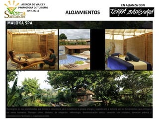 ALOJAMIENTOS
AGENCIA DE VIAJES Y
PROMOTORA DE TURISMO
RNT 27716
EN ALIANZA CON
 