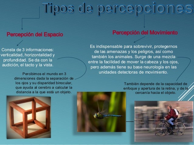 Portafolio virtual: Percepción, Conductimos y Psicoanális.