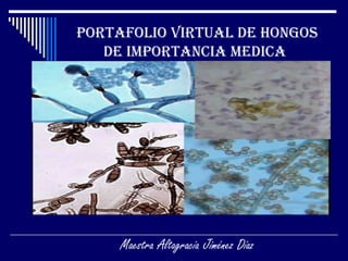 Portafolio Virtual de Hongos de importancia Medica   Maestra Altagracia Jiménez Díaz   