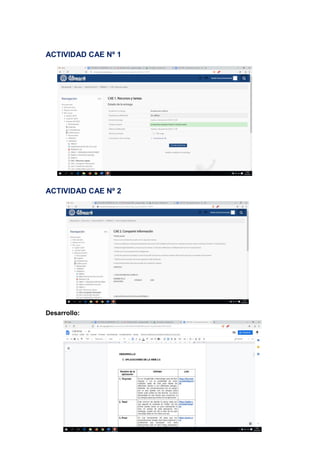 ACTIVIDAD CAE Nº 1
ACTIVIDAD CAE Nº 2
Desarrollo:
 
